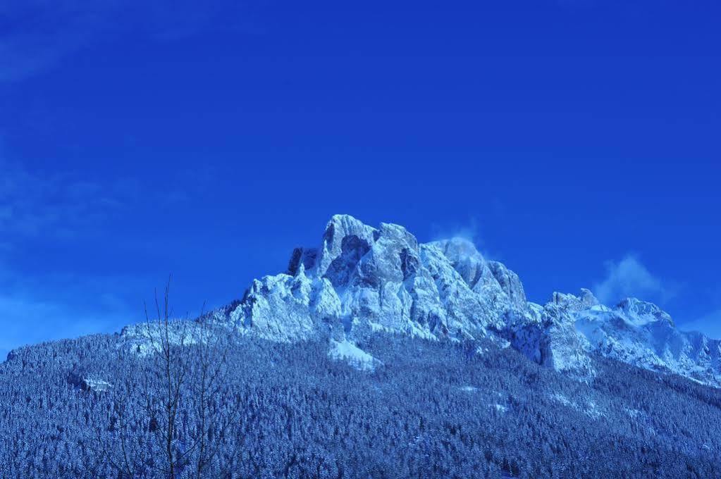 Hotel Garnì Carpe Diem Vigo di Fassa Buitenkant foto